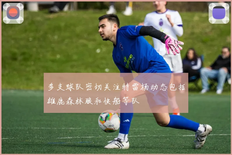 多支球队密切关注特雷杨动态包括雄鹿森林狼和快船等队