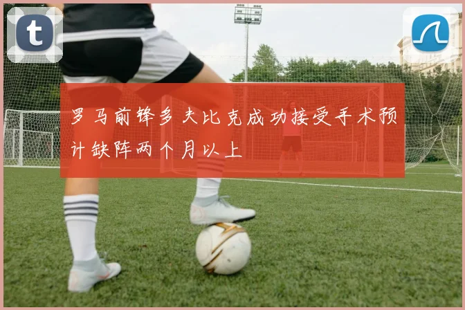 罗马前锋多夫比克成功接受手术预计缺阵两个月以上