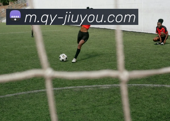 九游体育APP 高清赛事图